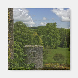 Aimant En Irlande, au château de Blarney une tour en pier