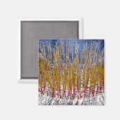 Aimant Encens dans un temple, Zhongdian, Yunnan - Chine (Recto/Verso)