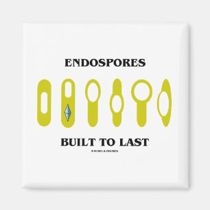 Aimant Endospores Construites À Dernier (Attitude Bactéri
