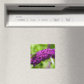 Aimant énergie katydone (In Situ (Lave-vaisselle))