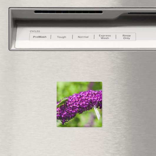 Aimant énergie katydone (In Situ (Lave-vaisselle))