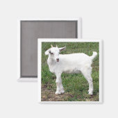 Aimant "enfant" (Recto/Verso)