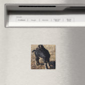 Aimant Enfant noir et tan (In Situ (Lave-vaisselle))