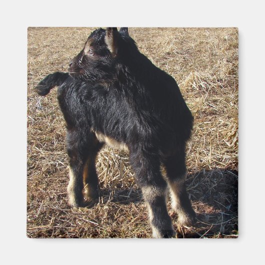 Aimant Enfant noir et tan (Devant)