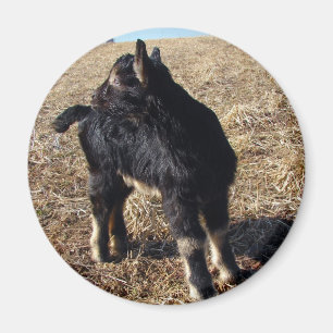 Aimant Enfant noir et tan