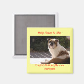 Aimant English Bulldog Secourt Network - Customisé (Recto/Verso)