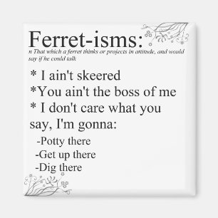 Aimant Énonciations de furet ou Furet-ISM