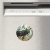 Aimant Énorme orignal (In Situ (Lave-vaisselle))