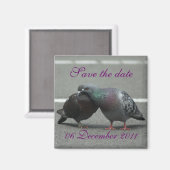 Aimant enregistrer la date avec les pigeons (Recto/Verso)