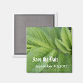 Aimant Enregistrer la date, feuilles verts (Recto/Verso)