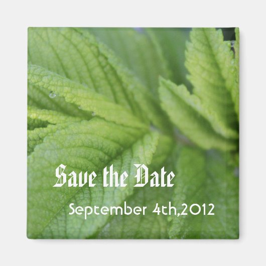 Aimant Enregistrer la date, feuilles verts (Devant)