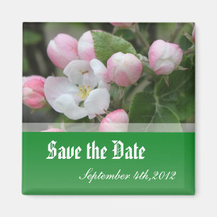 Aimant enregistrer la date, fleurs de pomme