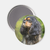 Aimant Épagneul Cavalier King Charles Royal (Recto/Verso)
