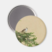 Aimant Épervier (Recto/Verso)