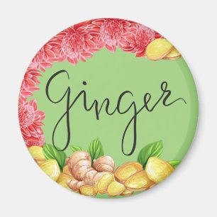 Aimant Épice de gingembre