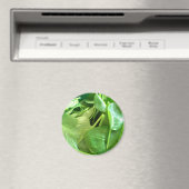 Aimant Épinard (In Situ (Lave-vaisselle))