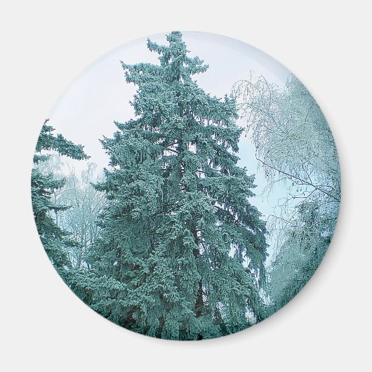 Aimant Épinette avec neige (Devant)