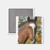 Aimant Épingle Carré du quart de cheval (Recto/Verso)