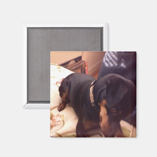 Aimant Épingle Min Silencieuse (Recto/Verso)