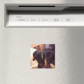 Aimant Épingle Min Silencieuse (In Situ (Lave-vaisselle))