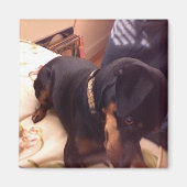 Aimant Épingle Min Silencieuse (Devant)