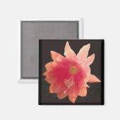 Aimant Epiphyte Orange (Recto/Verso)