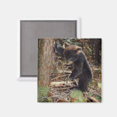 Aimant Épuisé (Recto/Verso)