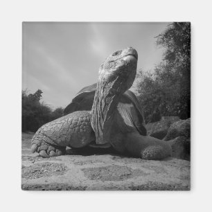 Aimant Équateur, Parc national des îles Galapagos, Santa