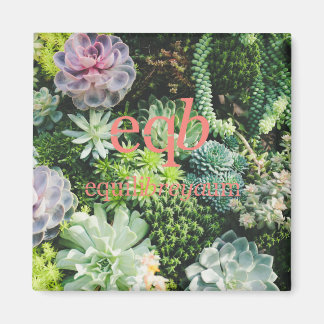 aimant équilibreyaum