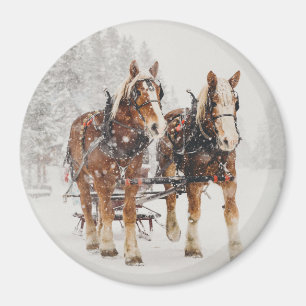 Aimant Équipe de Belgique de cheval Wintery Christmas Sce