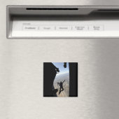 Aimant Équipe de parachutistes de l'US Air Force Academy (In Situ (Lave-vaisselle))