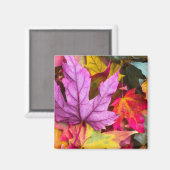 Aimant Érable d'automne feuille coloré nature d'automne (Recto/Verso)