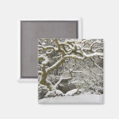 Aimant Érable japonais couvert de neige (Recto/Verso)