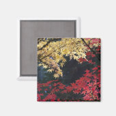 Aimant Érables en couleur d'automne (Recto/Verso)