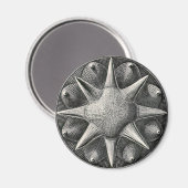 Aimant Ernst Haeckel (Recto/Verso)