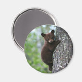 Aimant Escalade Bear Cub (Recto/Verso)
