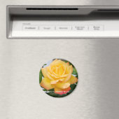 Aimant Escalade de Rosa (In Situ (Lave-vaisselle))