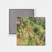 Aimant Escalier de la forêt tropicale de Bali (Recto/Verso)
