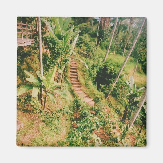 Aimant Escalier de la forêt tropicale de Bali (Devant)
