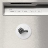 Aimant Escargot (In Situ (Lave-vaisselle))
