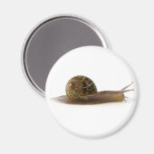 Aimant escargot (Recto/Verso)