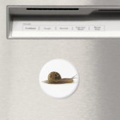 Aimant escargot (In Situ (Lave-vaisselle))