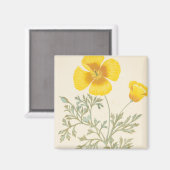 Aimant Eschscoltzia californienne (Recto/Verso)