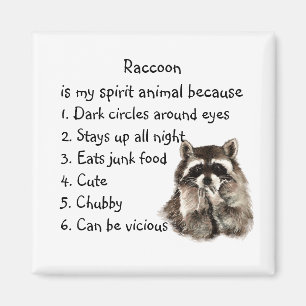 Aimant Esprit de Raton Laveur Drôle Humour Animal de Comp