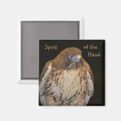 Aimant Esprit Du Faucon (Recto/Verso)