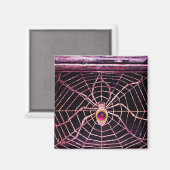 Aimant ESPRIT ET WEB rose Fuchsia Amethyst Noir (Recto/Verso)