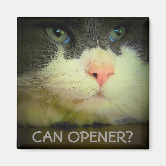 Aimant Est-ce qu'Opener ? (Devant)