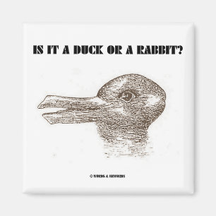 Aimant Est-ce un canard ou un lapin ? (Illusion optique)