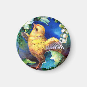 Aimant Est Tombé Un Bon Poussin De Pâques
