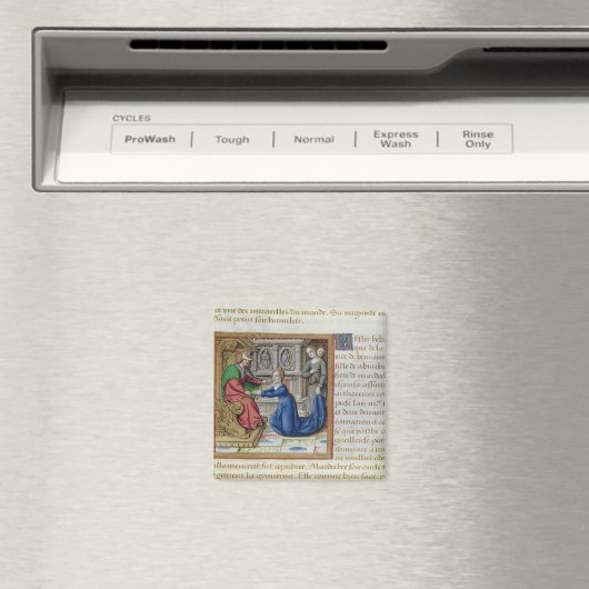 Aimant Esther (In Situ (Lave-vaisselle))